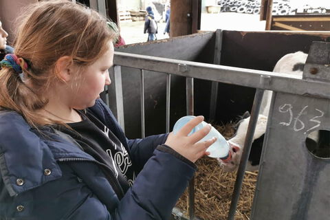 Exkursion Milchviehof Reents Bild 1