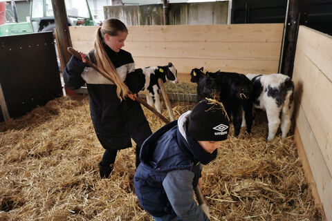 Exkursion Milchviehof Reents Bild 4