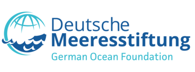 Logo der Deutschen Meeresstiftung